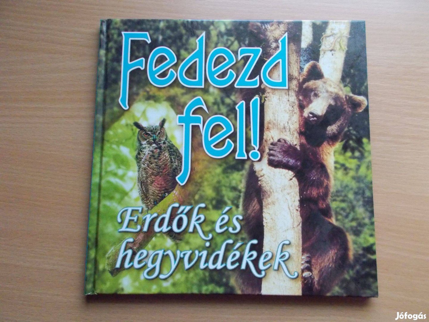 Erdők és hegyvidékek - Fedezd fel!