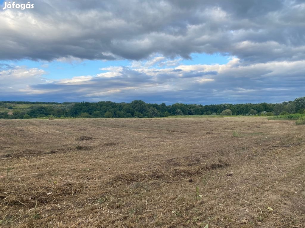 Erdőkertes, Fő utca felől megközelíthető, 3000 m2-es, telek