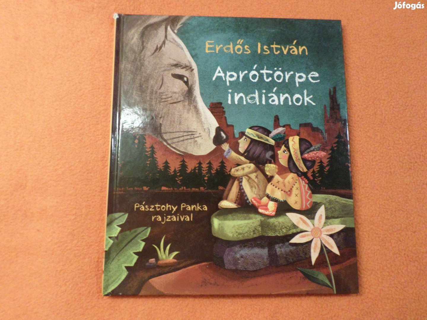 Erdős István Aprótörpe indiánok Pásztohy Panka rajz, 2013 Gyermekkönyv