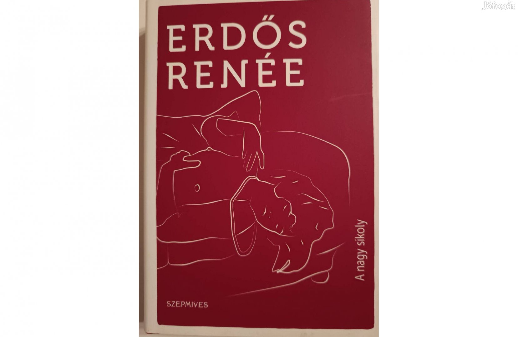 Erdős Renée: A nagy sikoly c. könyv