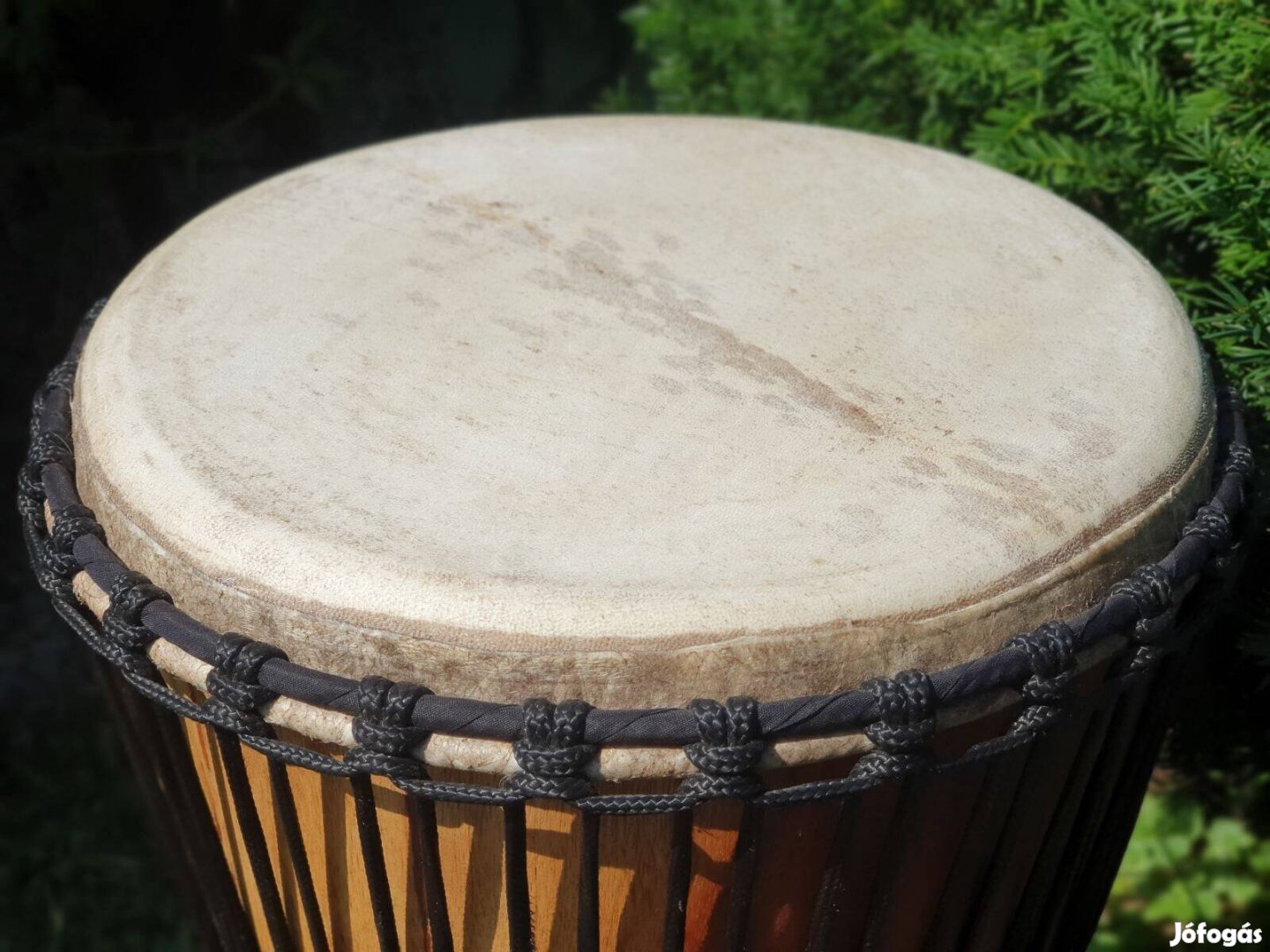 Eredeti Afrikai Djembe Dob