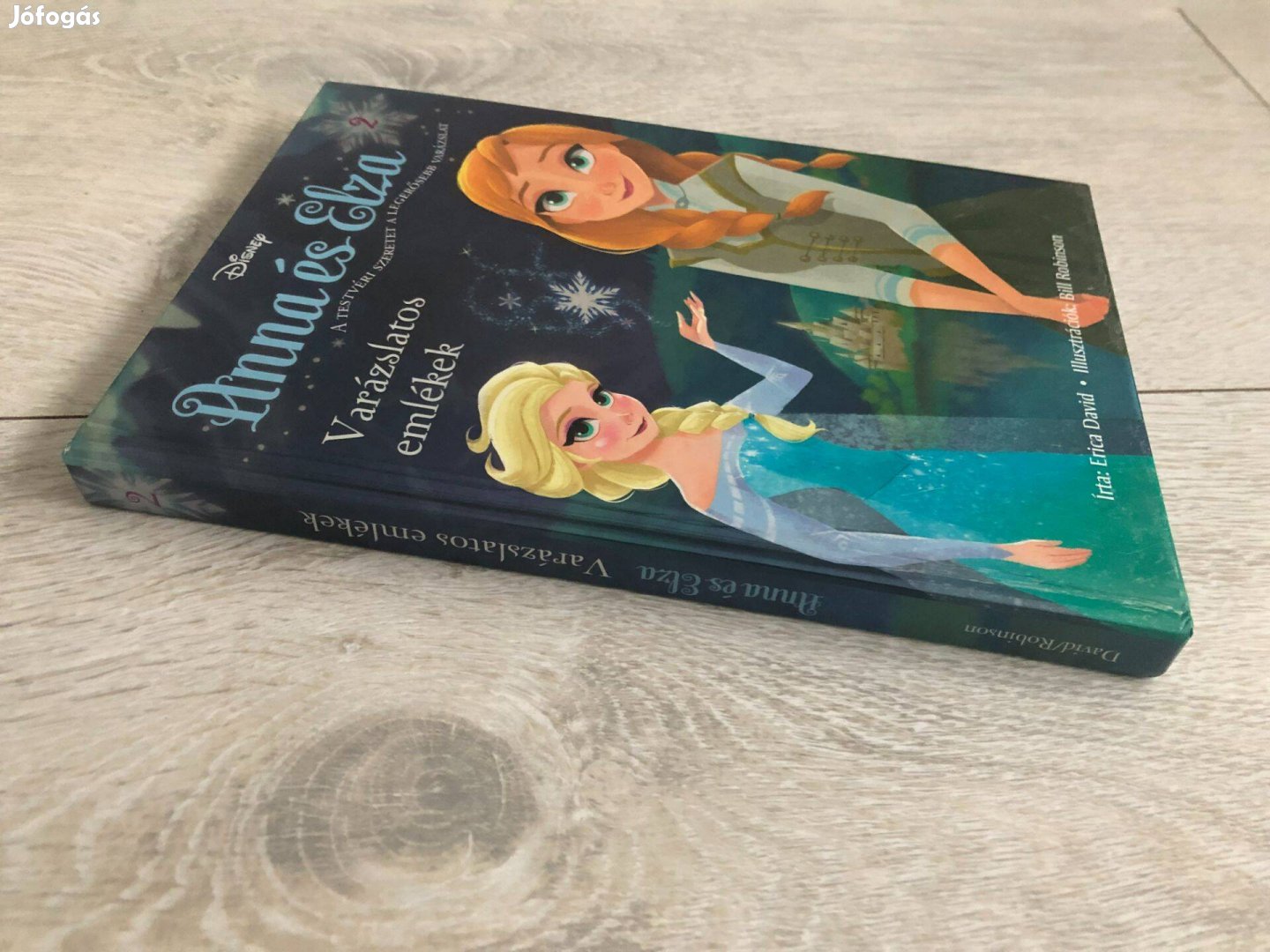 Erica David: Varázslatos emlékek (Anna és Elza 2. rész, Jégvarázs)