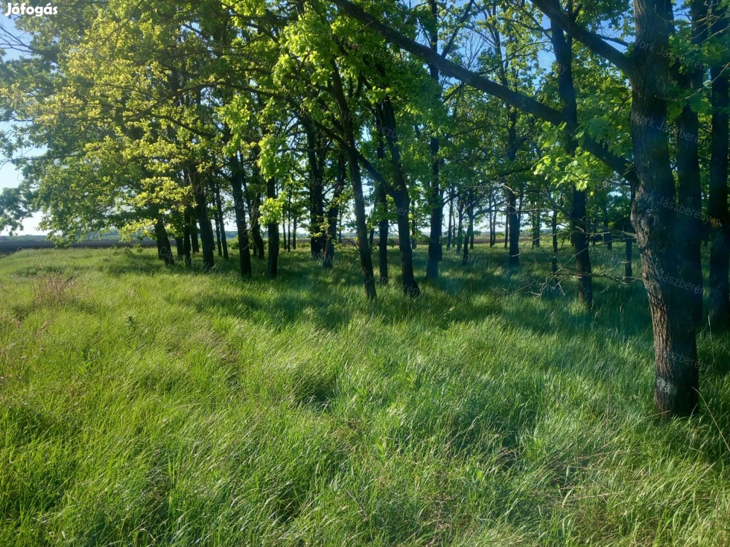 Erk-Tarnaörs között, mesés környezetben külterület eladó