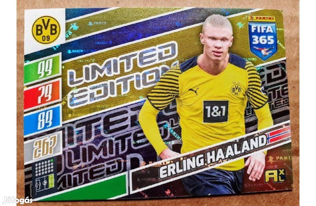 Erling Haaland Dortmund Limited focis kártya Panini Update 2022