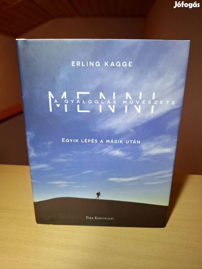 Erling Kagge: Menni