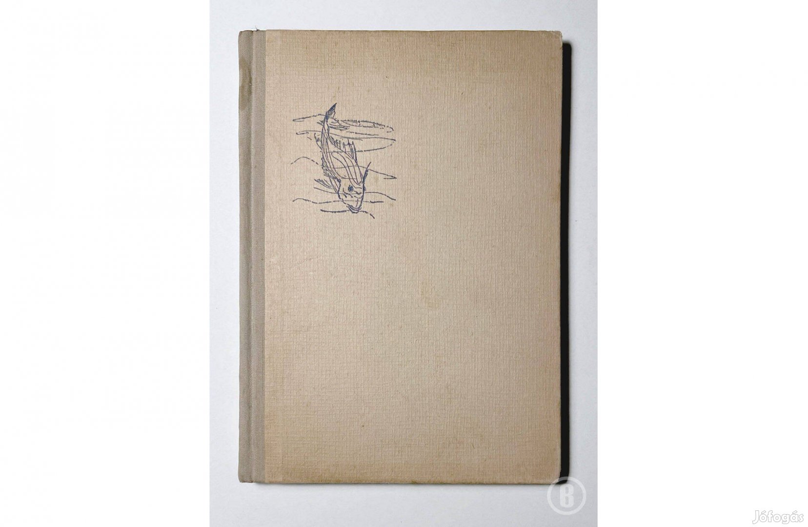 Ernest Hemingway Az öreg halász és a tenger - Csak