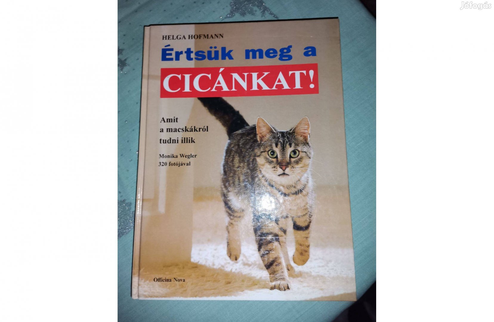 Értsük meg a Cicánkat! új