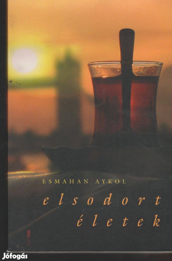 Esmahan Aykol: Elsodort életek