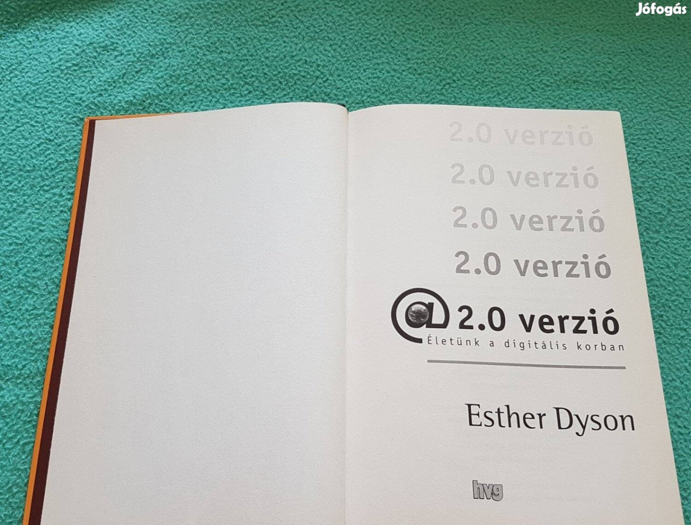 Esther Dyson: 2.0 verzió (Életünk a digitális korban) könyv
