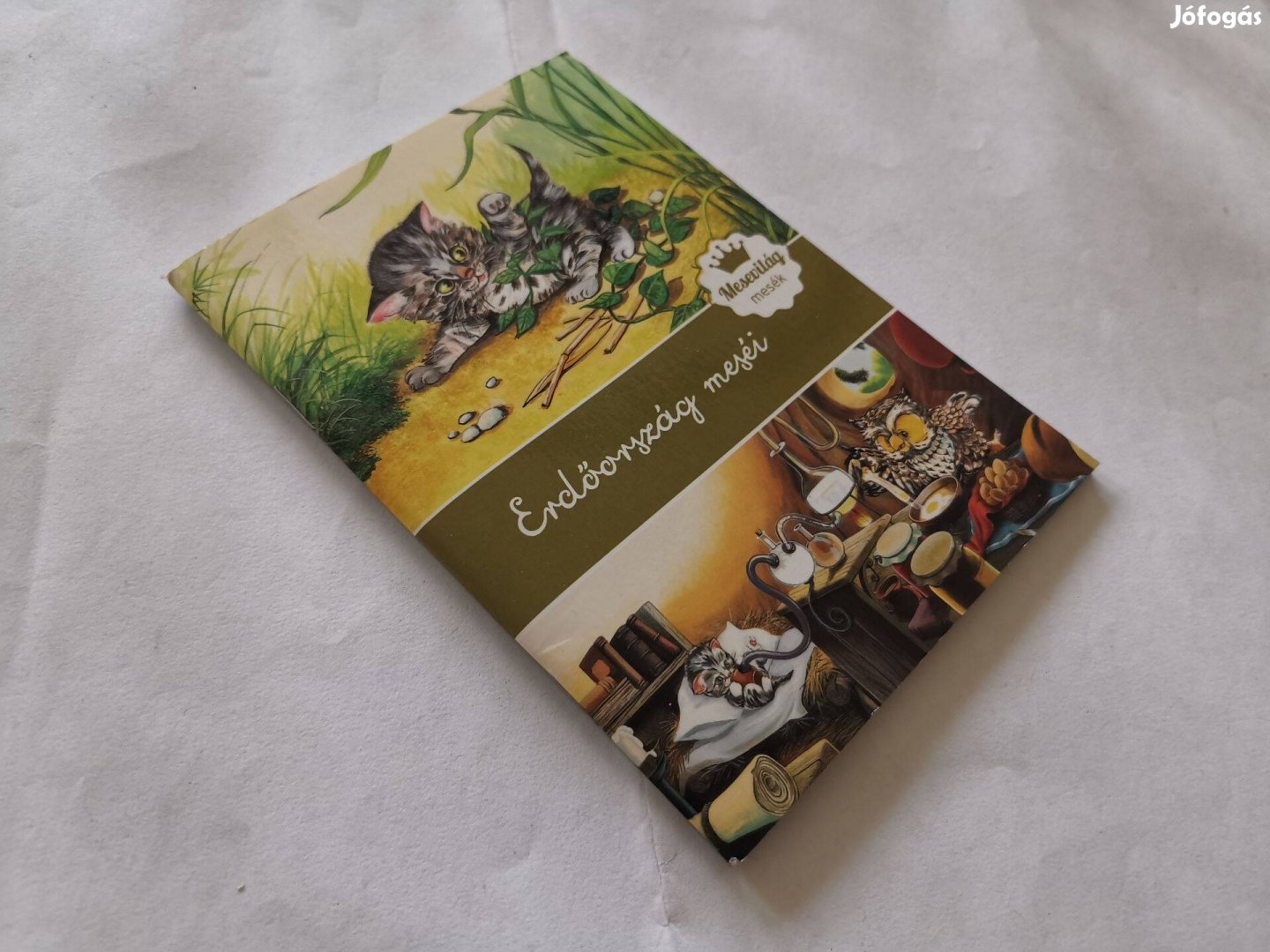 Eszes Hajnal - Erdőország meséi - Árva cica és Bagoly