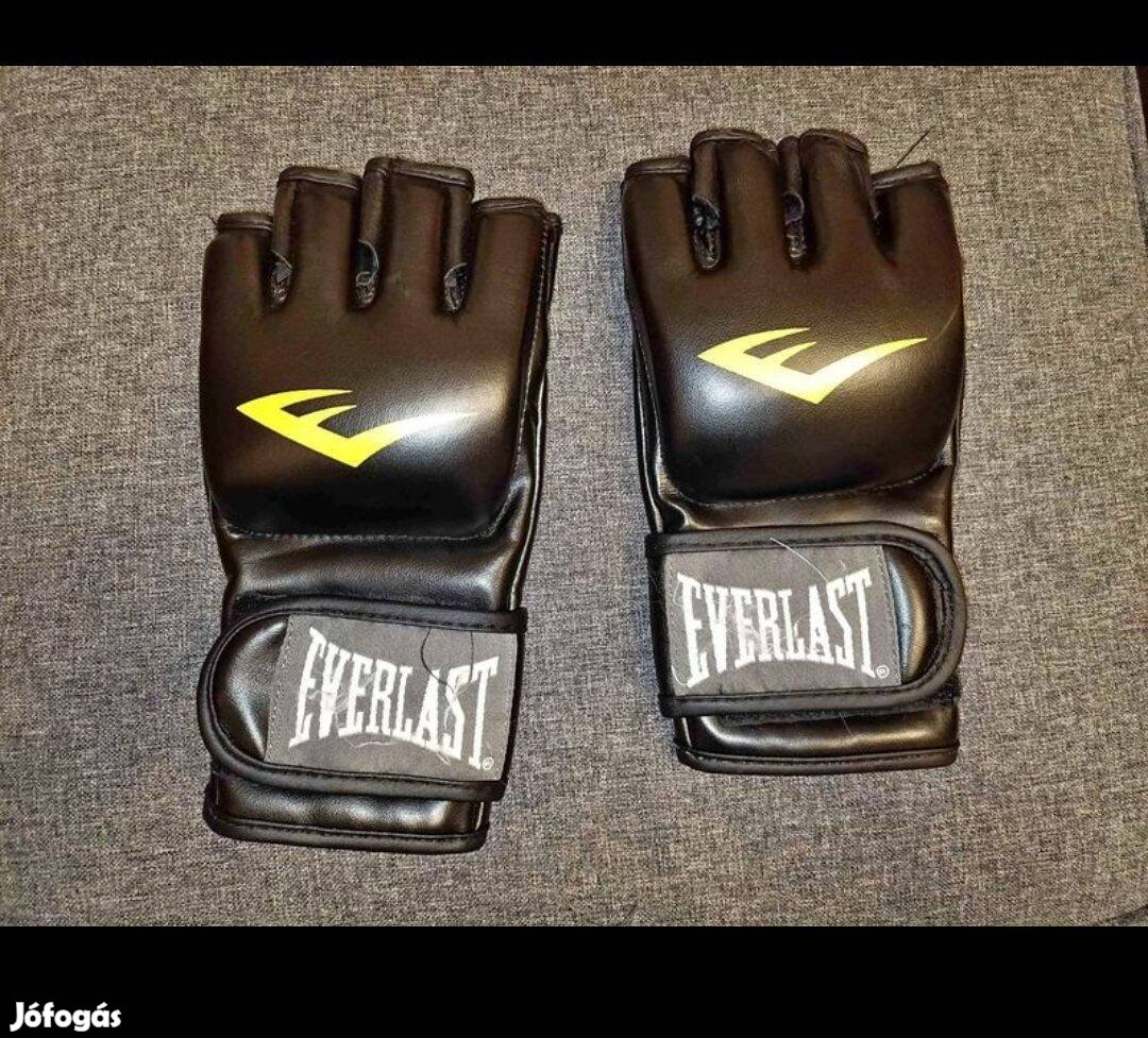Everlast MMA fighting Gloves