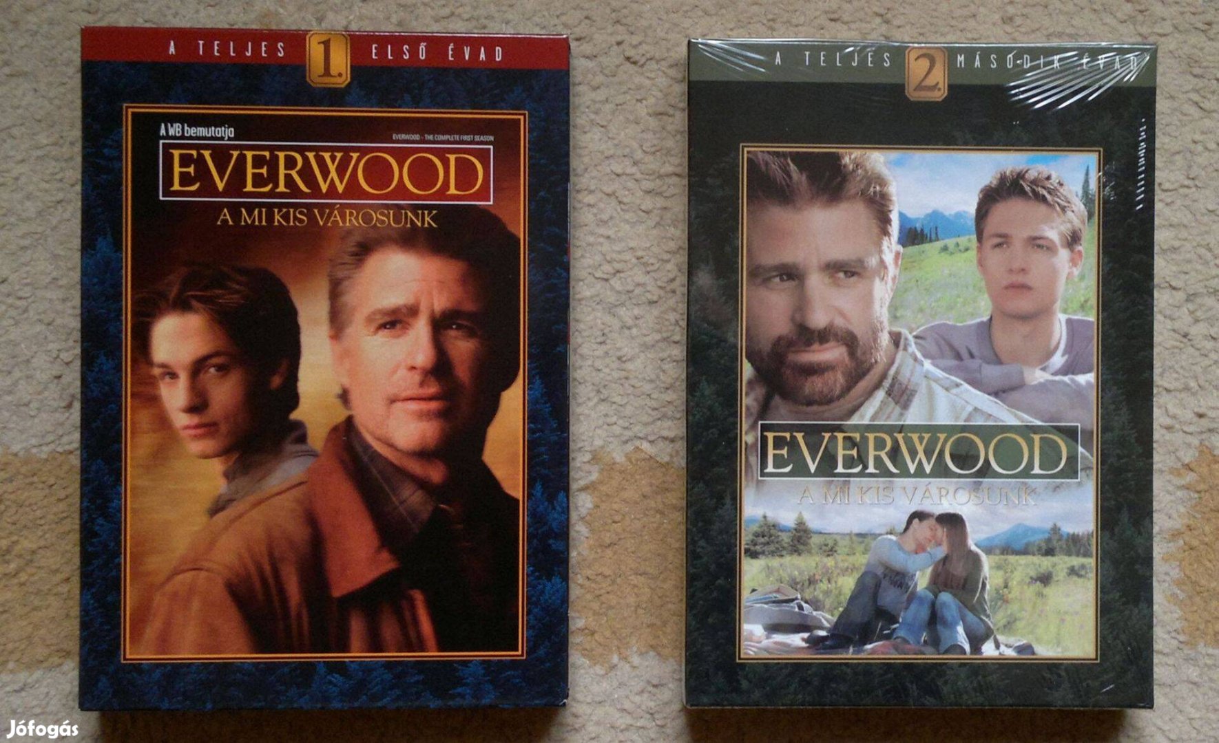 Everwood 1-2. évad DVD