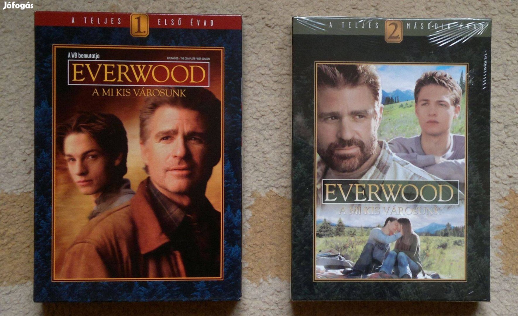 Everwood 1-2. évad DVD