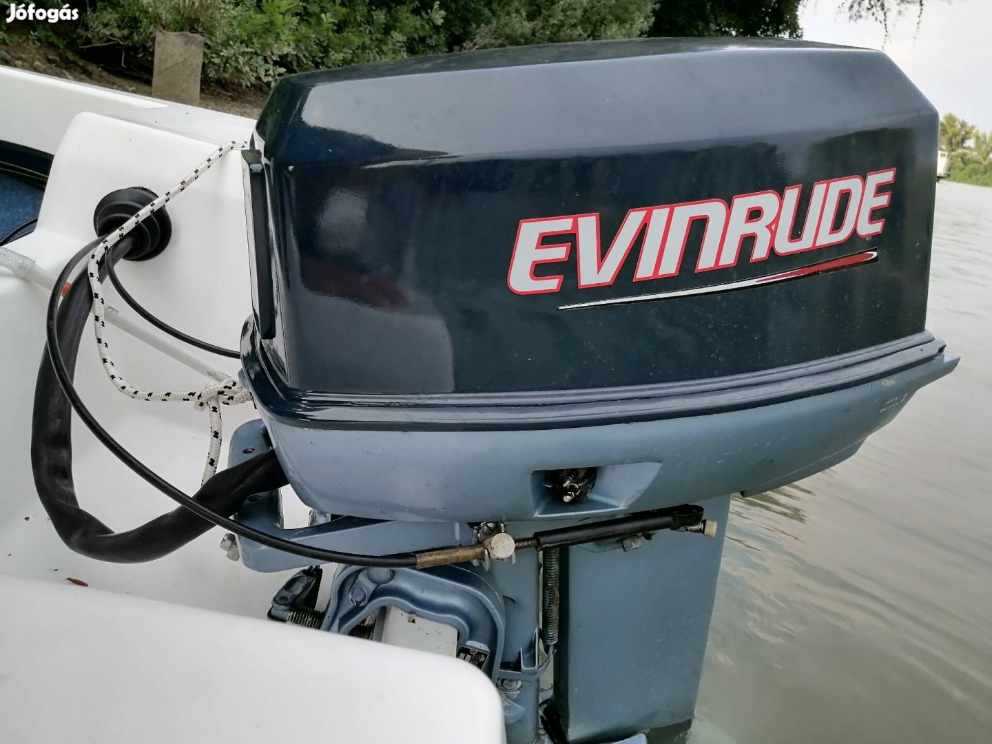 Evinrude motor 