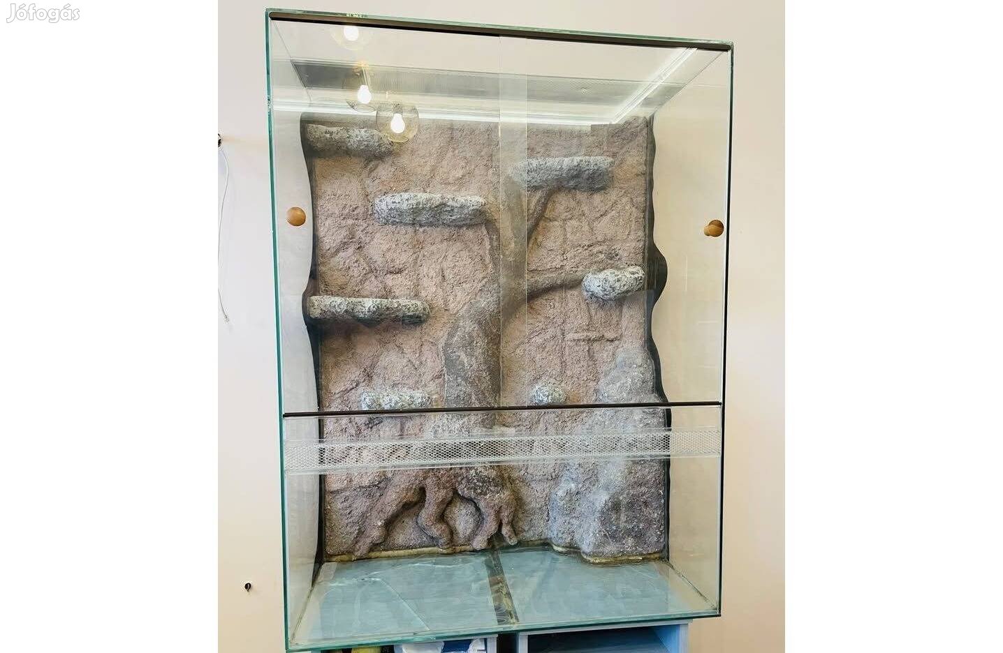 Extrém méretű kaméleon terrárium nevelőterráriummal,kiegészítőkkel