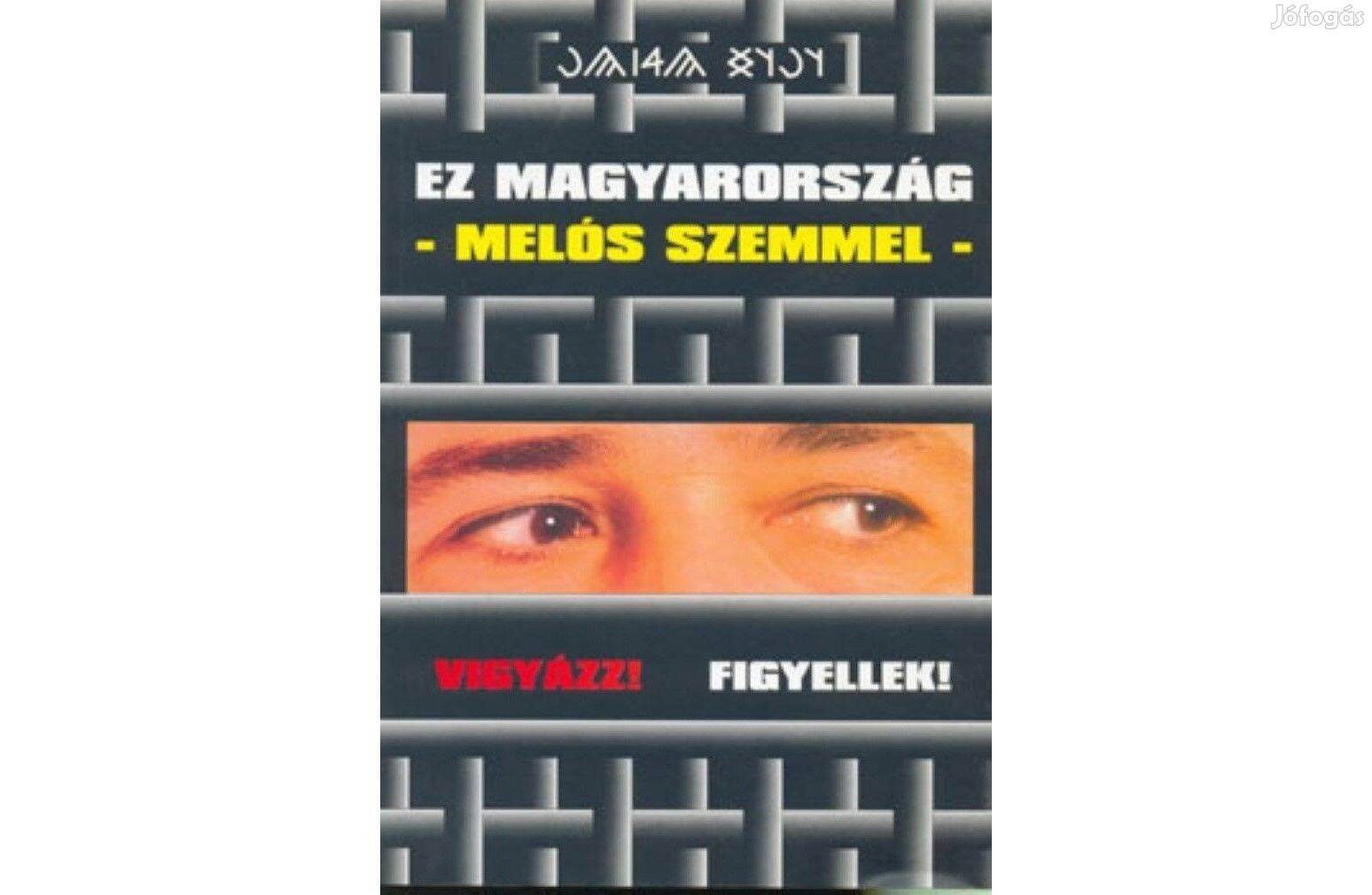 Ez Magyarország - melós szemmel ( Vigyázz! Figyellek! )