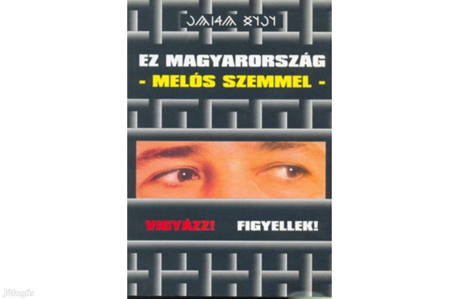 Ez Magyarország -melós szemmel- ( Vigyázz! Figyellek! )