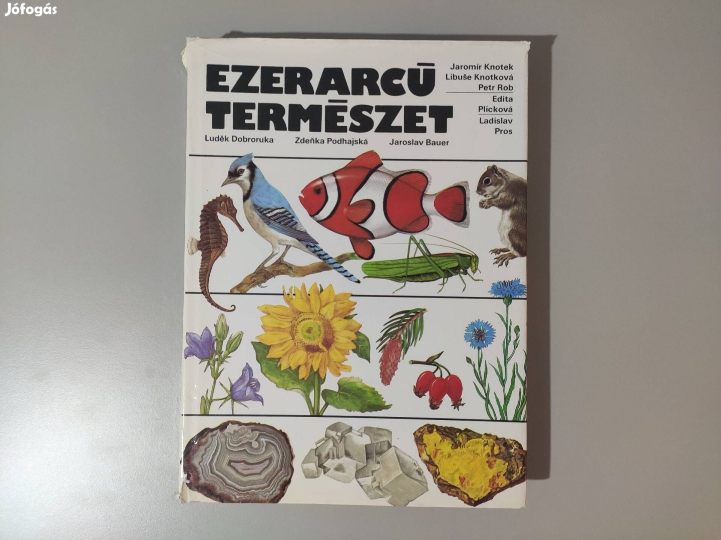 Ezerarcú természet