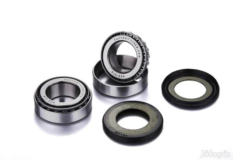 FACTORY LINKS Csapágykészlet - 60/22 2RS 10x