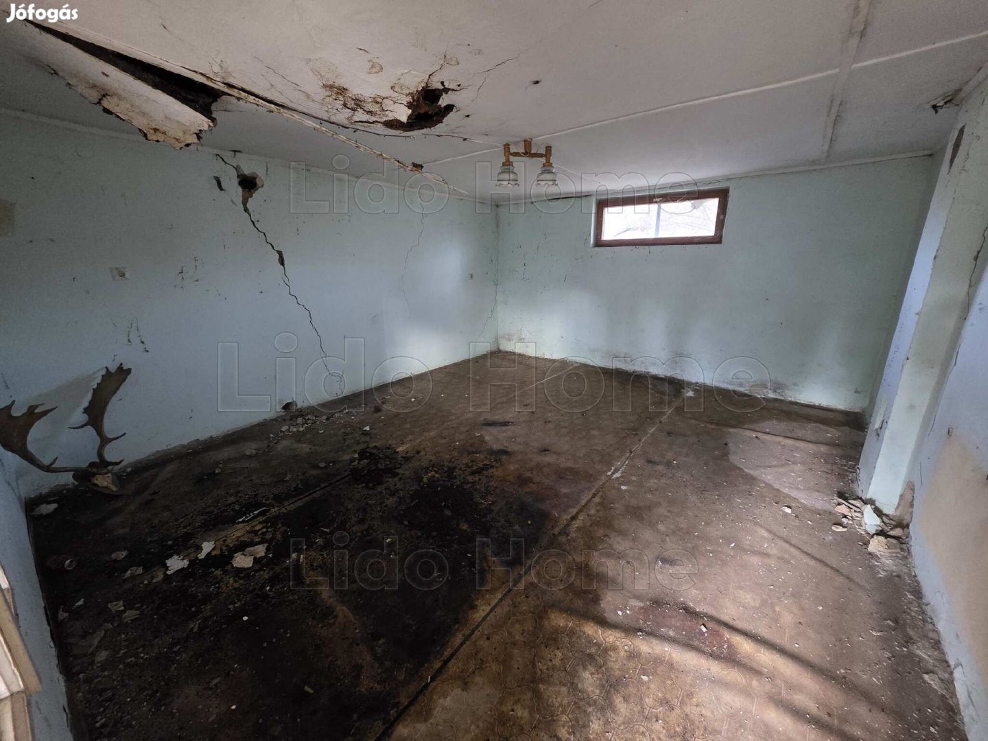 FELÚJÍTANDÓ CSALÁDI HÁZ NAGY TELEKKEL