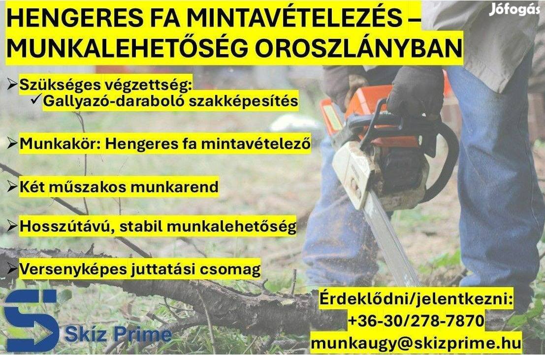 Előnézeti kép