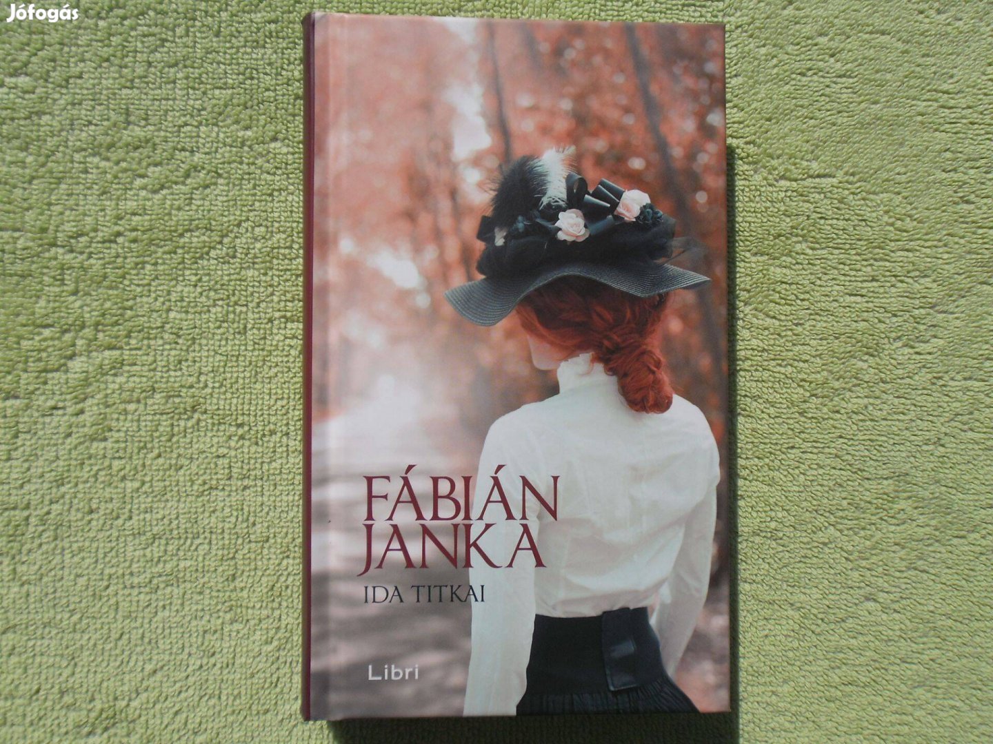 Fábián Janka: Ida titkai