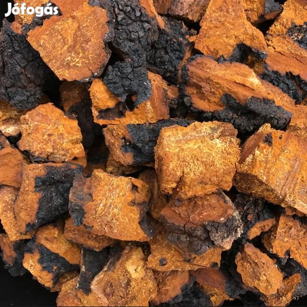 Fagyasztva Szárított Egész Chaga, HamvaskéregGomba 100g 6286
