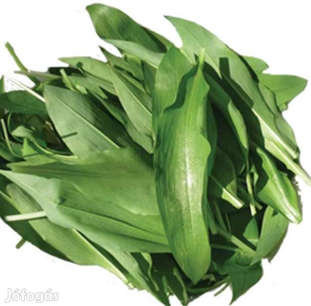 Fagyasztva Szárított, Liofilizált Medvehagyma 100g 6011