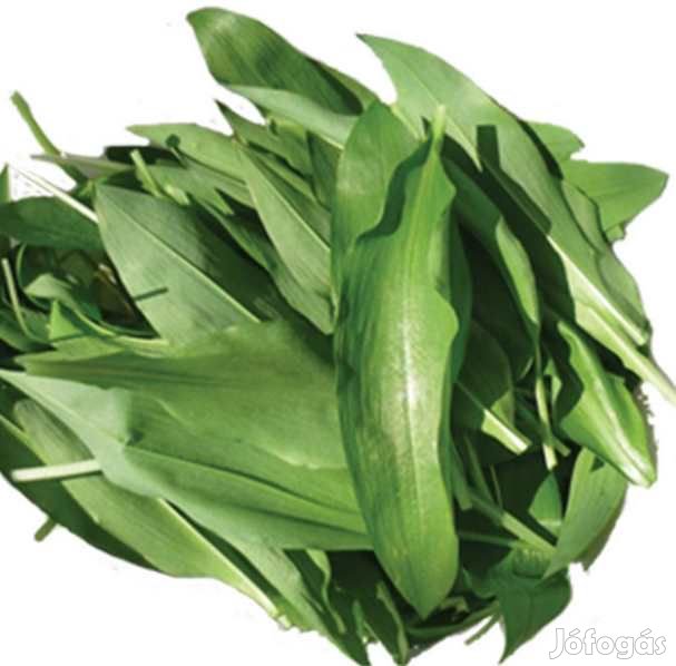 Fagyasztva Szárított, Liofilizált Medvehagyma 50g  (5986)