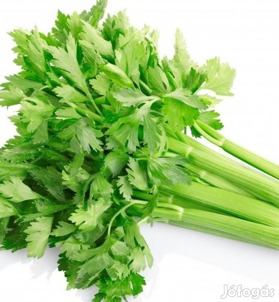 Fagyasztva Szárított, Liofilizált Zeller 10g  (6014)