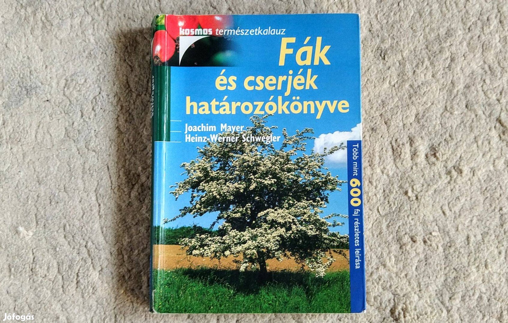 Fák és cserjék határozókönyve - Joachim Mayer, Heinz-Werner
