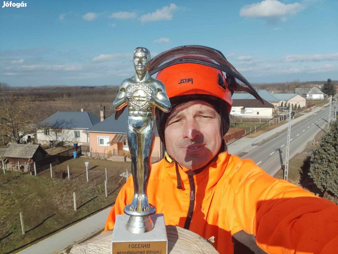 Fakivágás, Faápolás Alpintechnikával