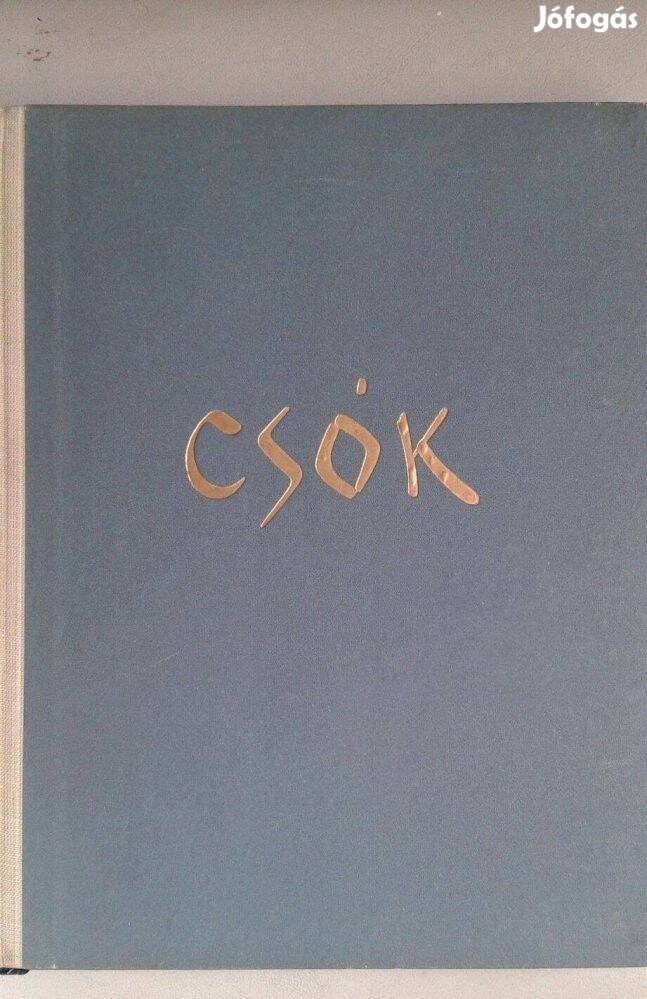 Farkas Zoltán: Csók István, művészet, magyar mesterek
