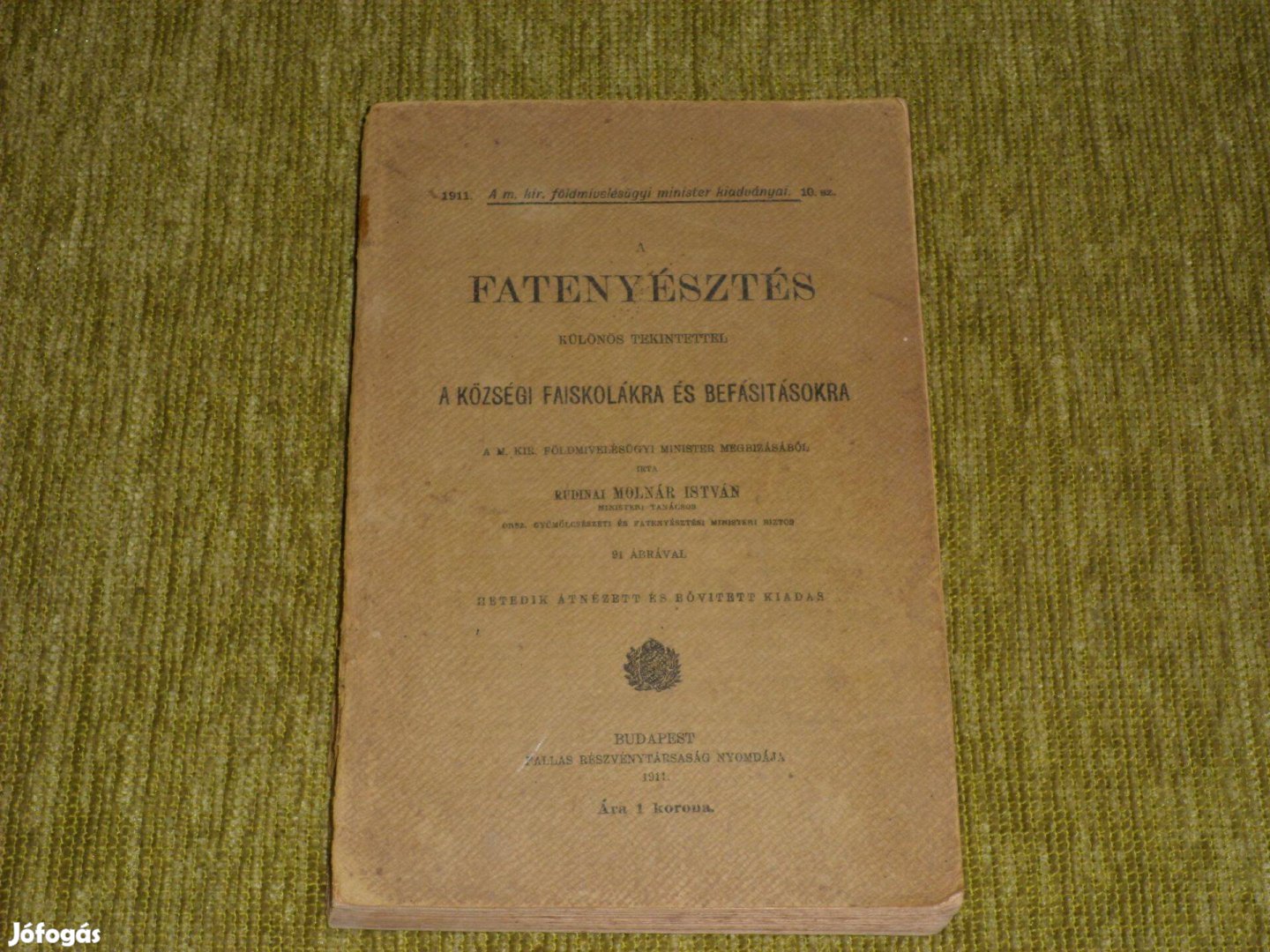 Fatenyésztés különös tekintettel a községi faiskolákra 1911