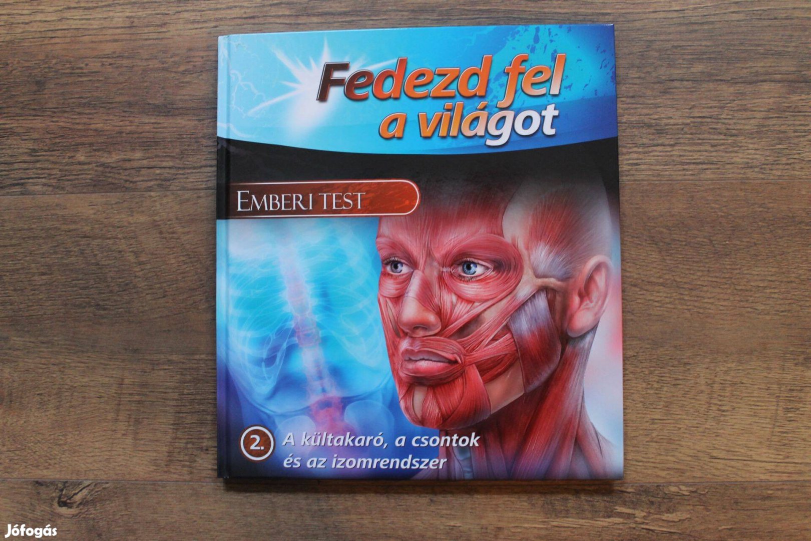 Fedezd fel a világot - Emberi test nagyméretű képeskönyv