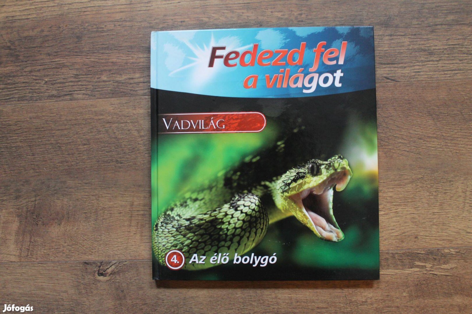 Fedezd fel a világot - Vadvilág ( nagyméretű képeskönyv )