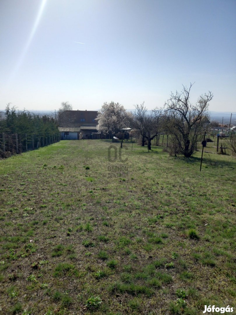 Fedezze fel álmai telkét Fóton lehetőség a jövőbe, zöld