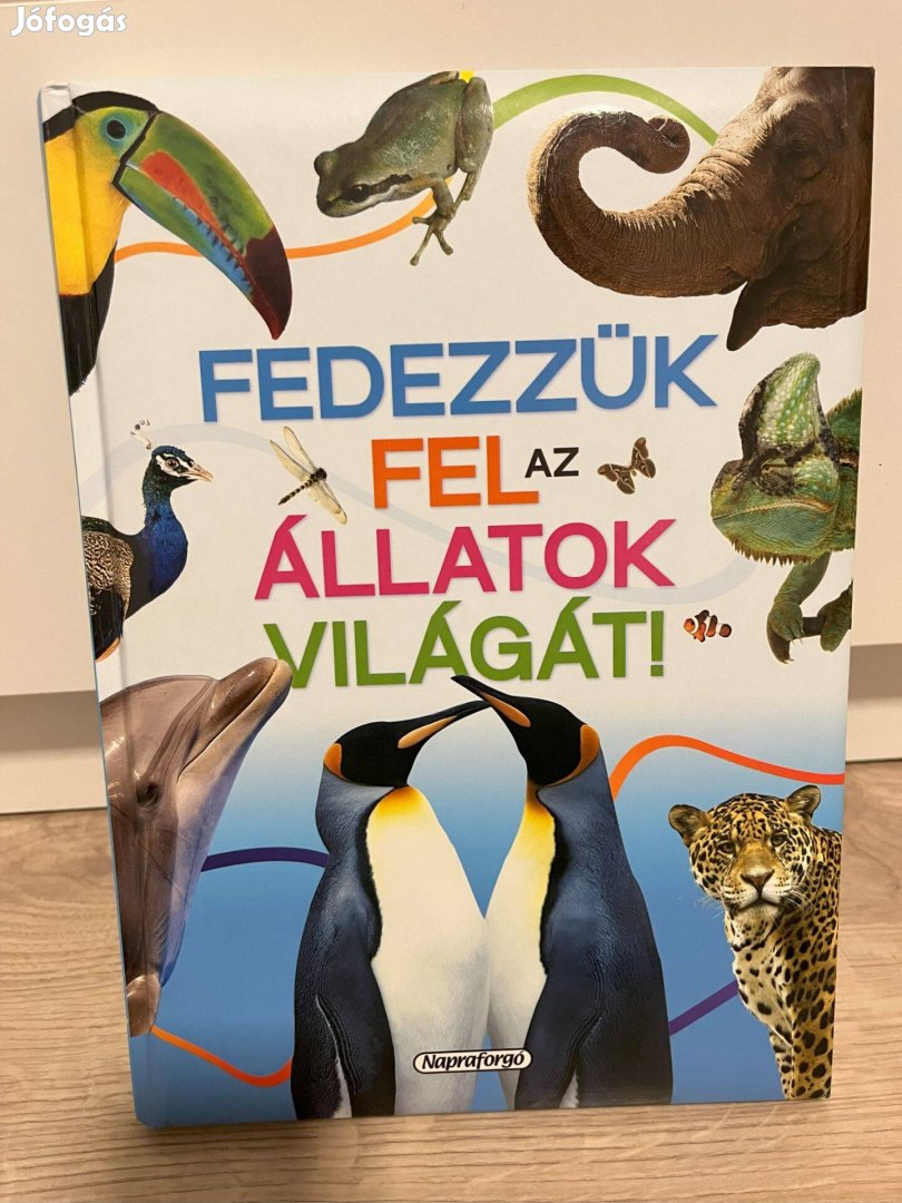 Fedezzük fel az állatok világát könyv