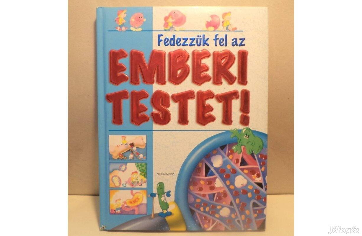 Fedezzük fel az emberi testet!