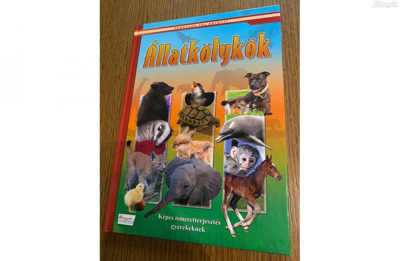 Fedezzük fel együtt! - Állatkölykök