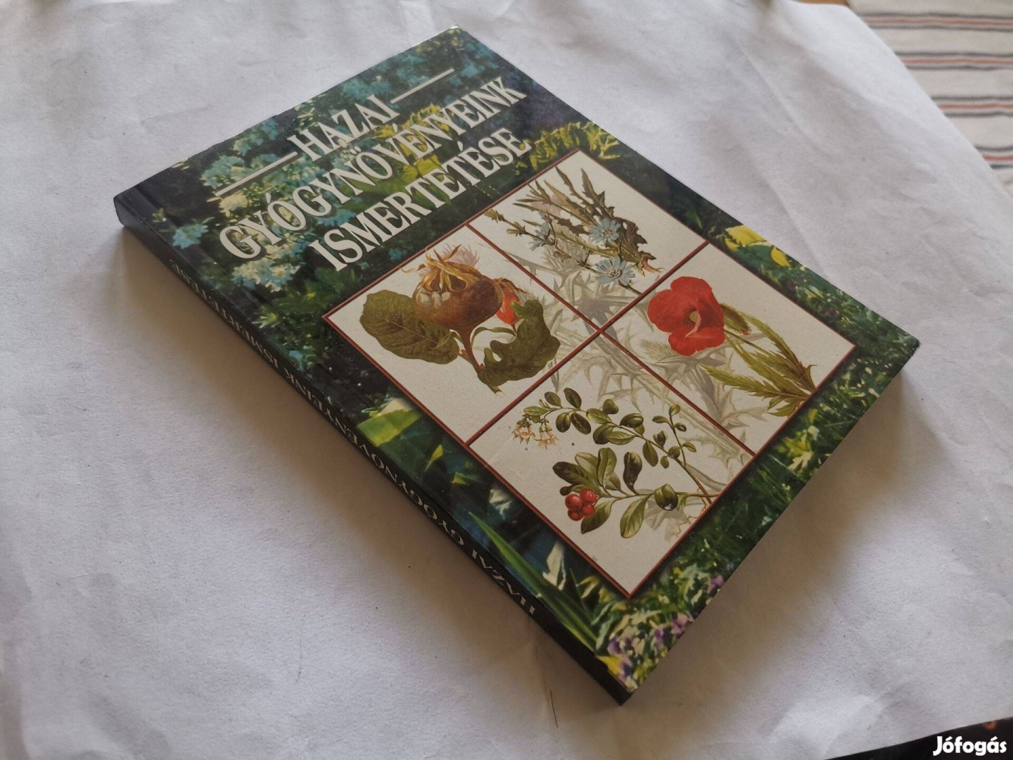 Fehér Sándor - Hazai gyógynövényeink ismertetése -