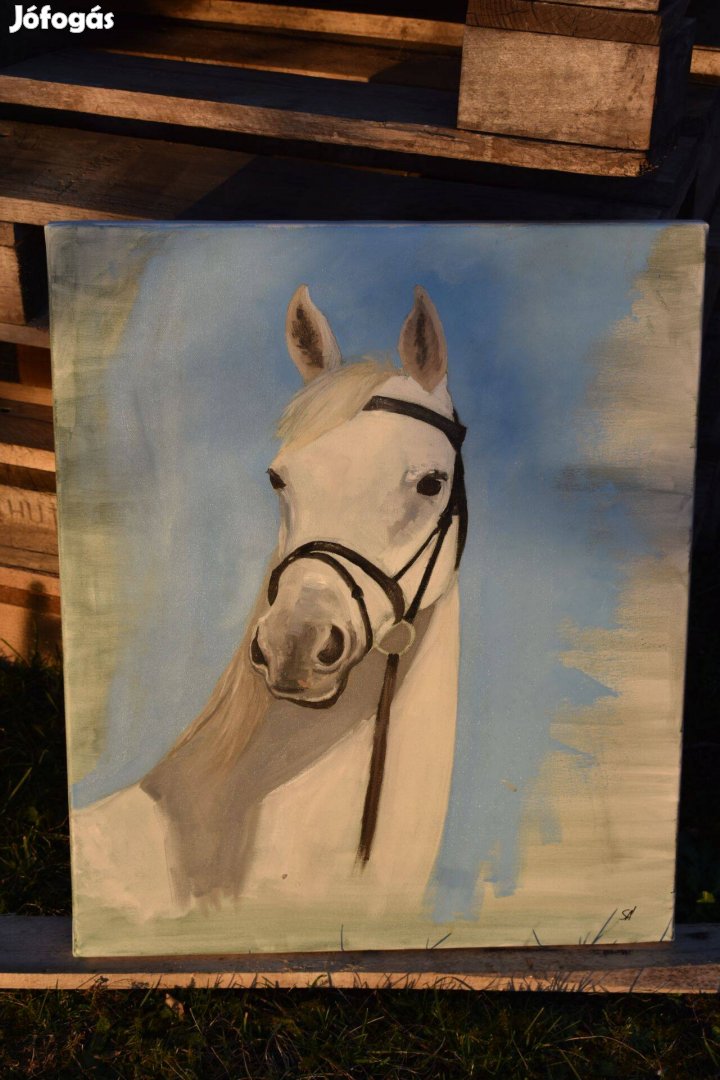 Fehér ló portréja - egyedi olajfestmény