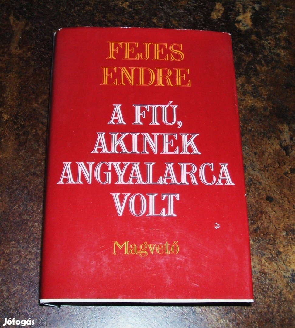 Fejes Endre: A fiú, akinek angyalarca volt c. könyve