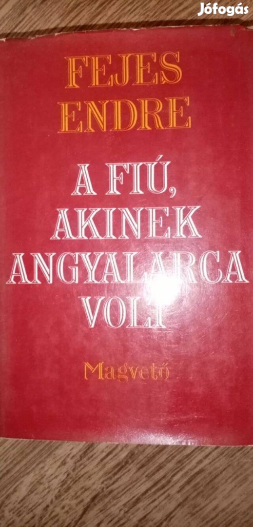 Fejes Endre : A fiú akinek angyalarca volt