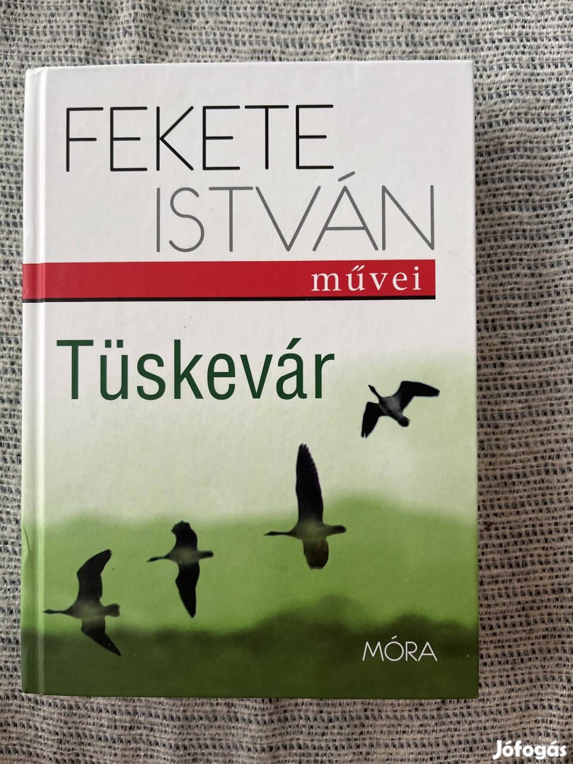 Fekete István Tüskevár