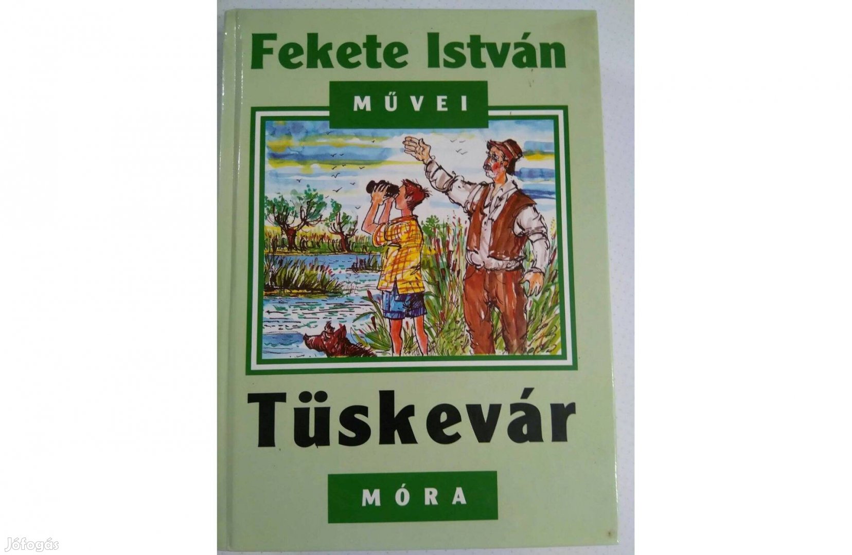 Fekete István Tüskevár c. könyv eladó!