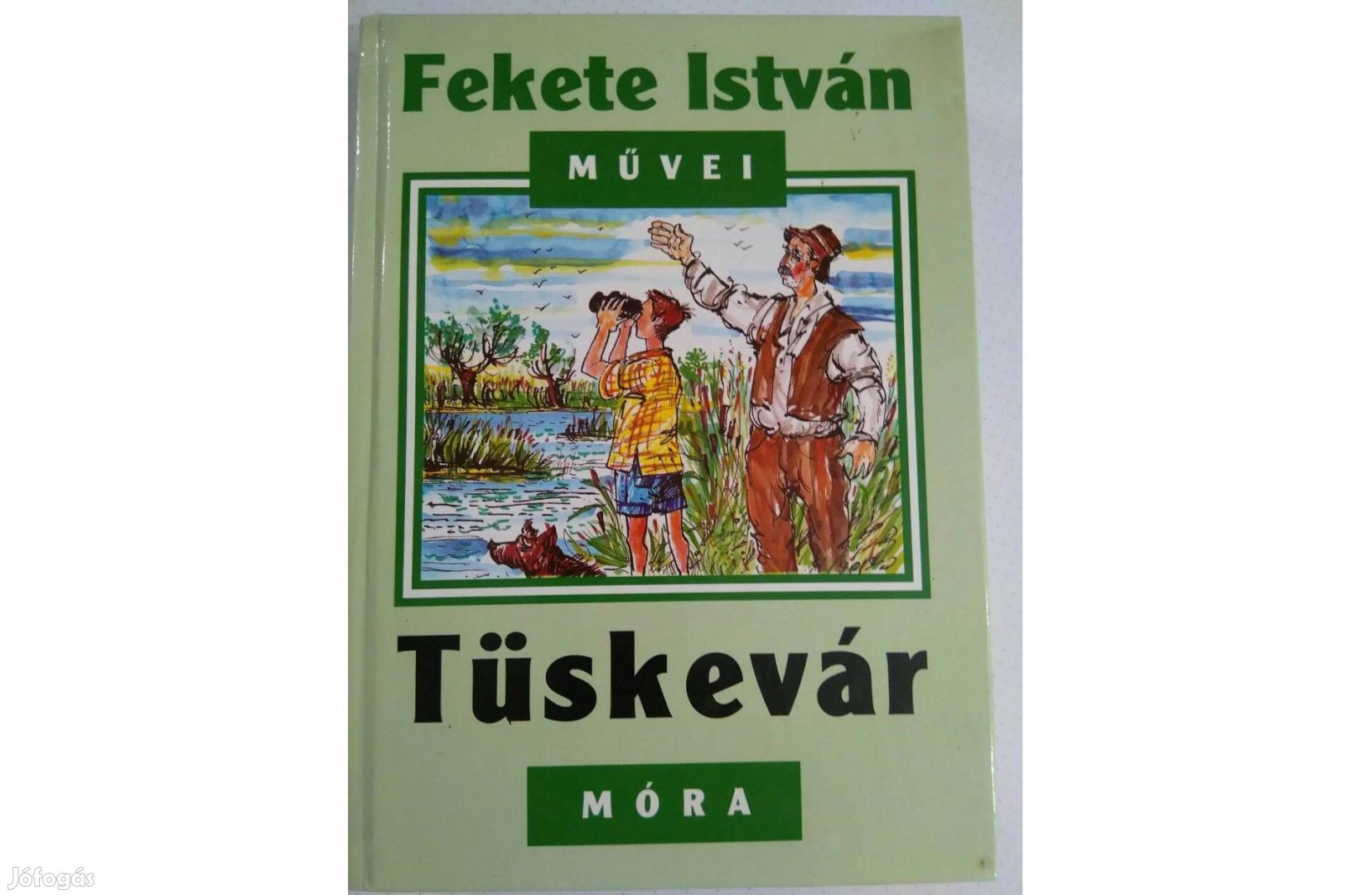 Fekete István: Tüskevár c. könyv eladó!