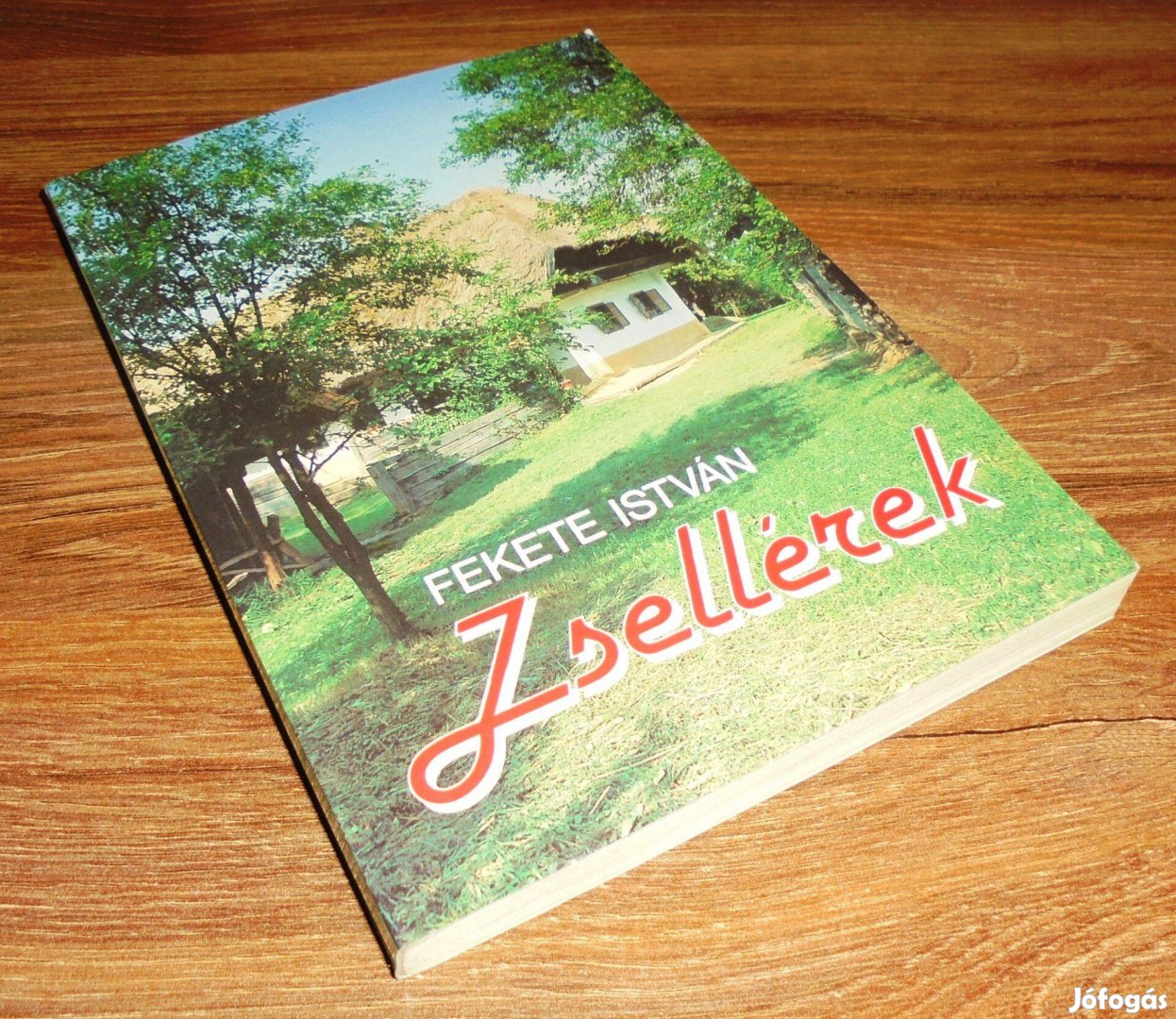 Fekete István: Zsellérek