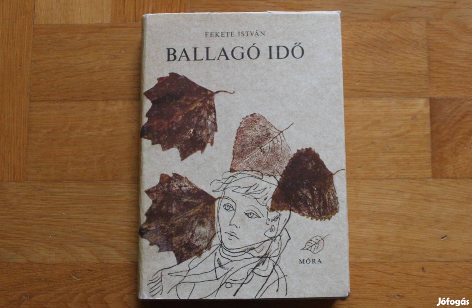 Fekete István - Ballagó idő