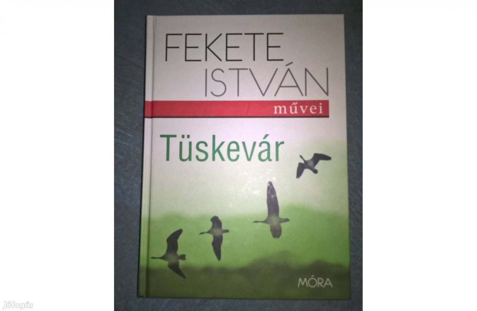 Fekete István - Tüskevár